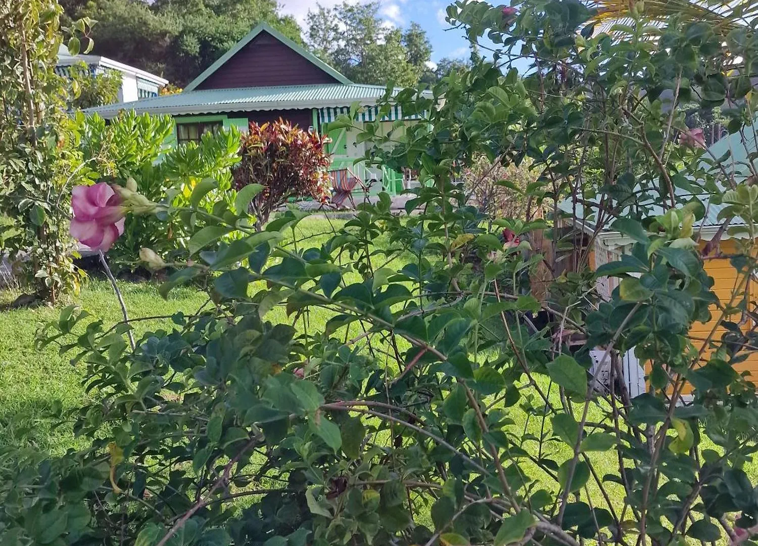 La Colline Verte Deshaies Holiday home