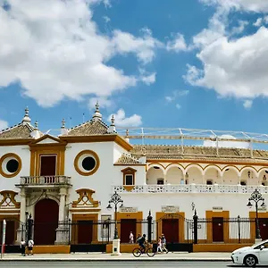 Santas Patronas Street Center Apartment Seville